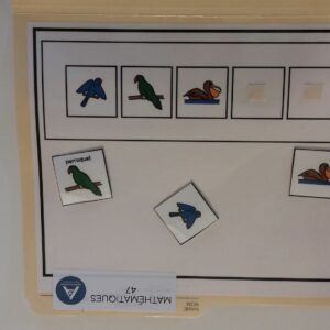 La suite des oiseaux
