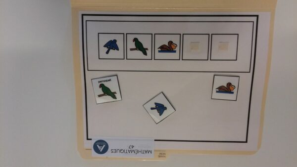 La suite des oiseaux