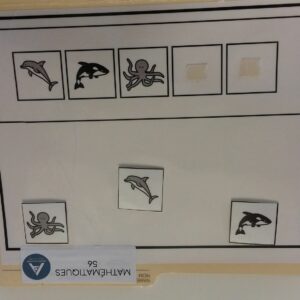 La suite logique animaux marins