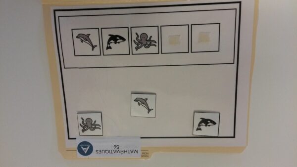 La suite logique animaux marins