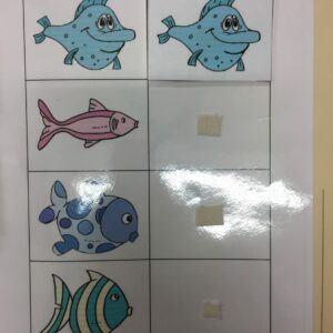 Associe les poissons ensemble