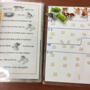 Tortues à associer