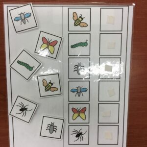 Les insectes