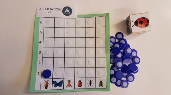 La course aux insectes