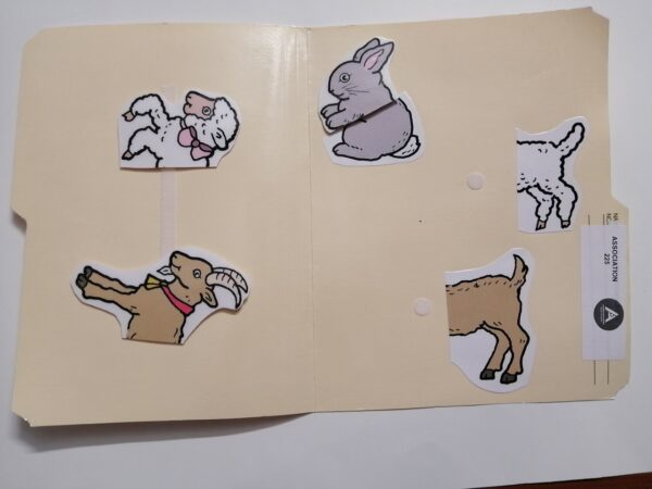 Les animaux