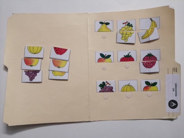 Les fruits