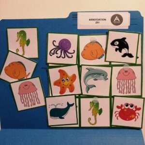 Les animaux marins