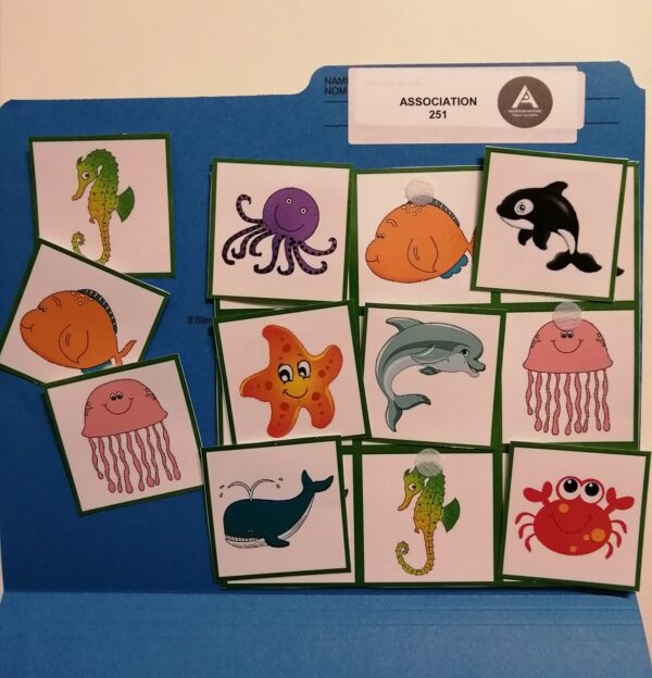 Les animaux marins