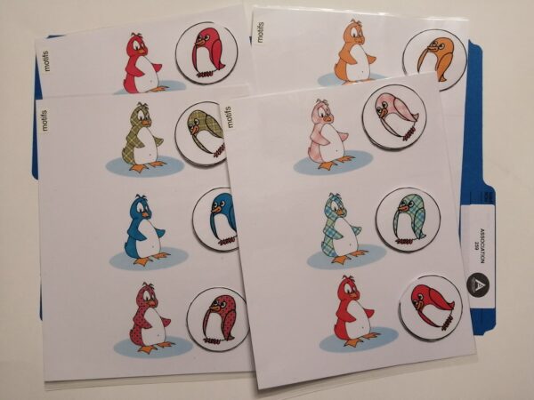 Trouve les pingouins avec le même dessin