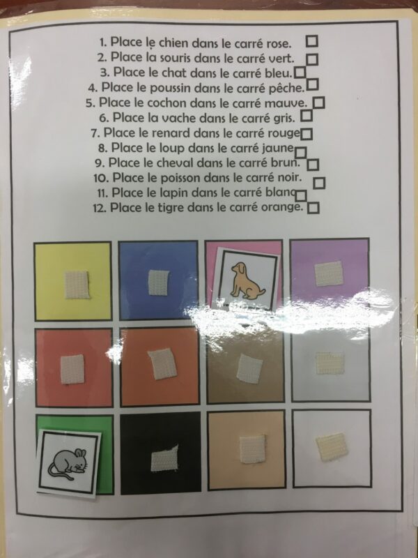 Place les images selon les consignes
