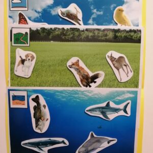 Animaux à coller selon leur habitat