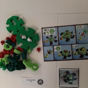 Tortue à construire