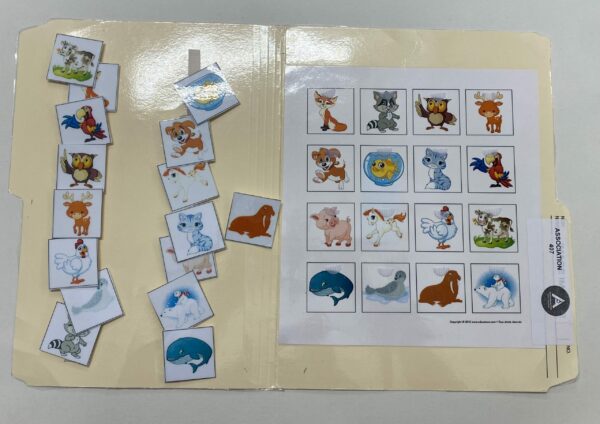 Les animaux de compagnie
