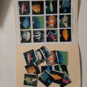 Les poissons exotiques