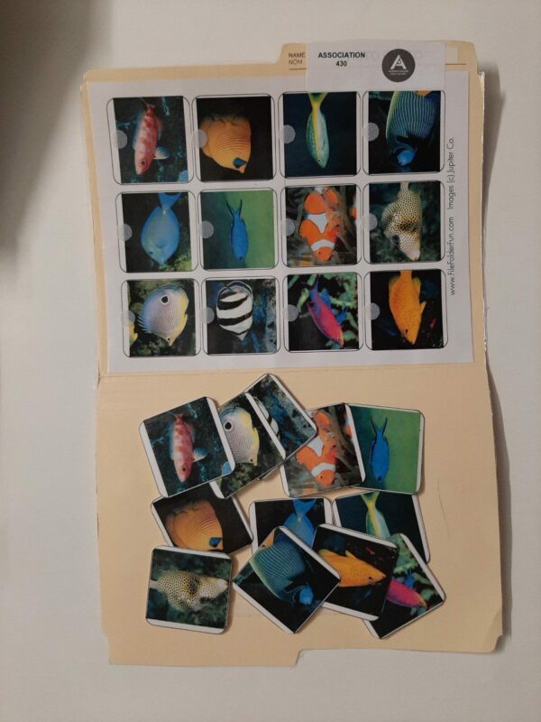 Les poissons exotiques