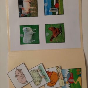 Trouve le dessin qui va avec la photo