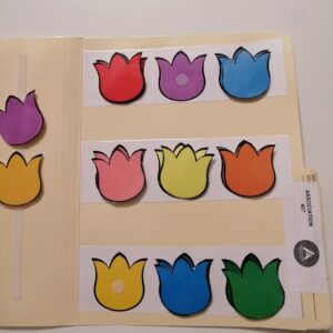 Le suite des tulipes