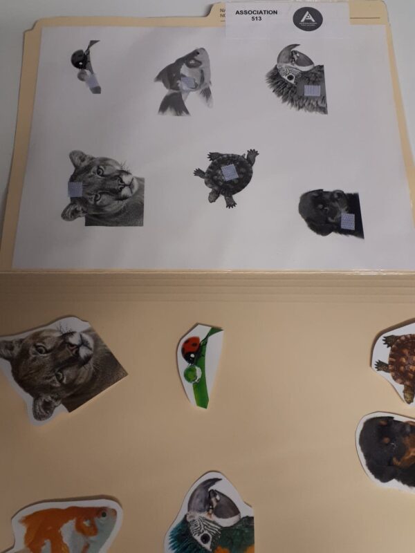 Les animaux