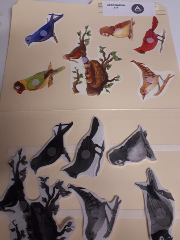 Les oiseaux