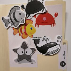 Les animaux marins