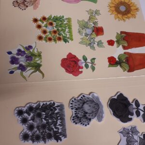 Les fleurs