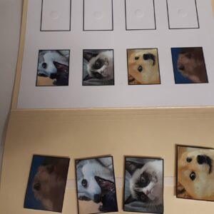 Les visages des animaux