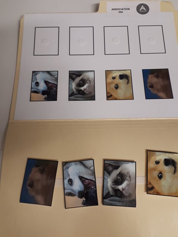 Les visages des animaux