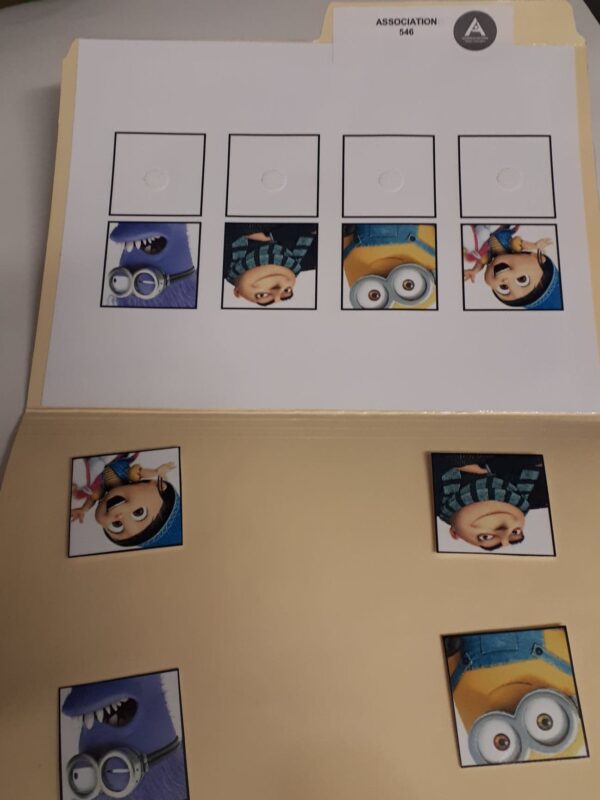 Les minions