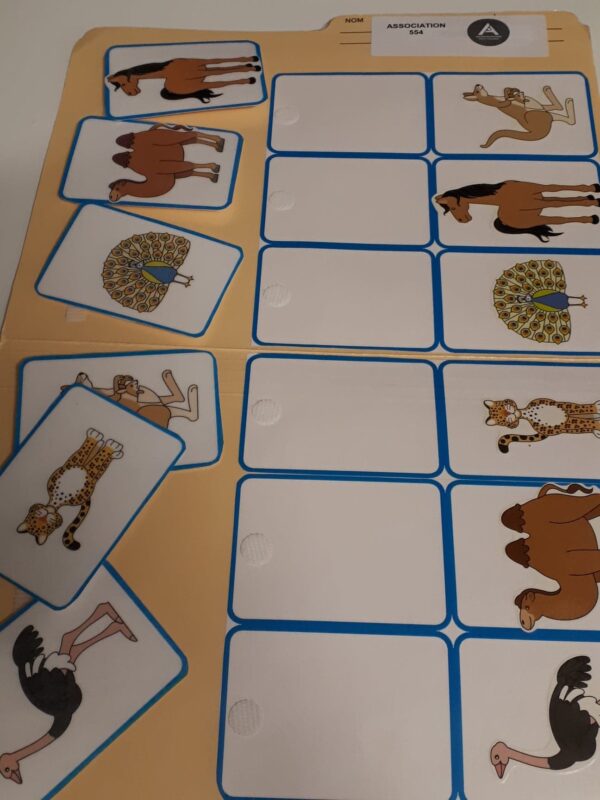 Les animaux