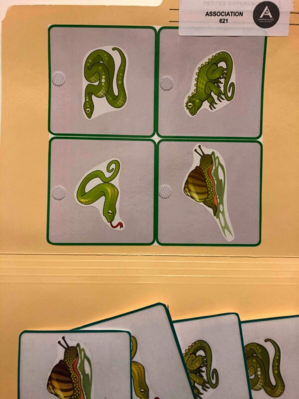 Les reptiles