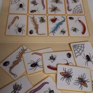Les insectes