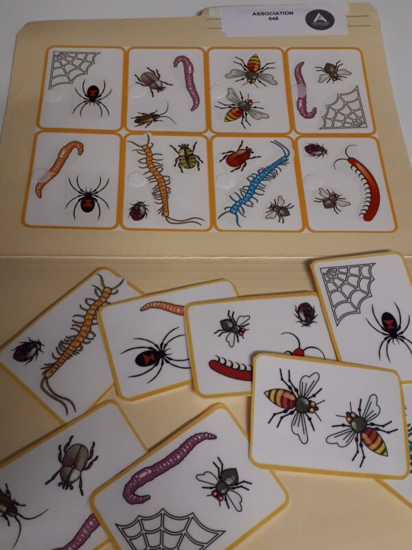 Les insectes