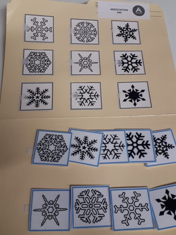 Les flocons de neige