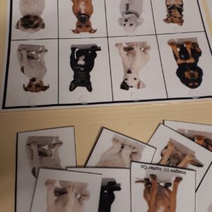 Les chiens