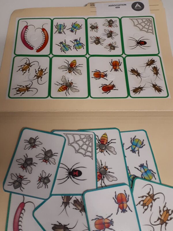 Les insectes