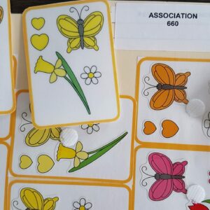 Fleurs et papillons