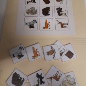 Les animaux de la forêt