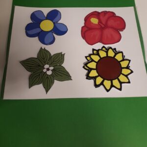 Les fleurs exotiques