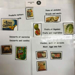 Les groupes alimentaires