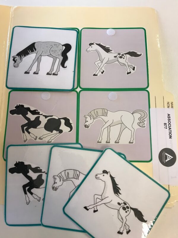 Les chevaux