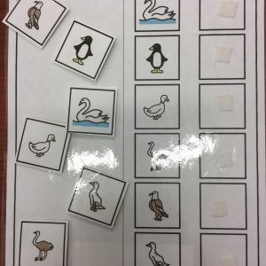 Les oiseaux