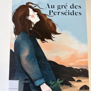 Au gré des Perséides