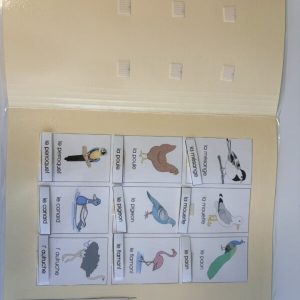 Associe les oiseaux